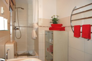 erotiknest_badezimmer_dusche         