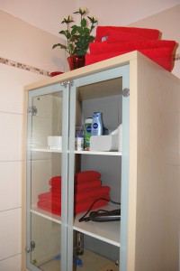 erotiknest_badezimmer_schrank         